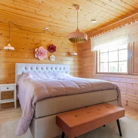 Santa's Loghouse Holiday home Saarenkyla